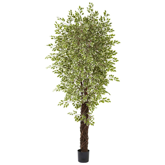 7.5' variegated mini ficus silk tree by Nearly Natural in a black pot on Tampa Home & Garden Store