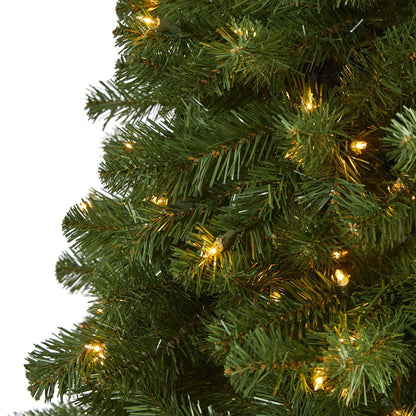 7.5 ft Virginia Fir Christmas Tree and Lights