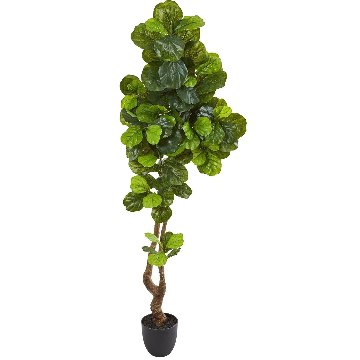 78in Fiddle Leaf Artificial Tree Real Touch by Nearly Natural in black planter with green leaves on Tampa Home & Garden Store