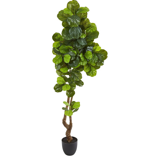 78in Fiddle Leaf Artificial Tree Real Touch by Nearly Natural in black planter with green leaves on Tampa Home & Garden Store