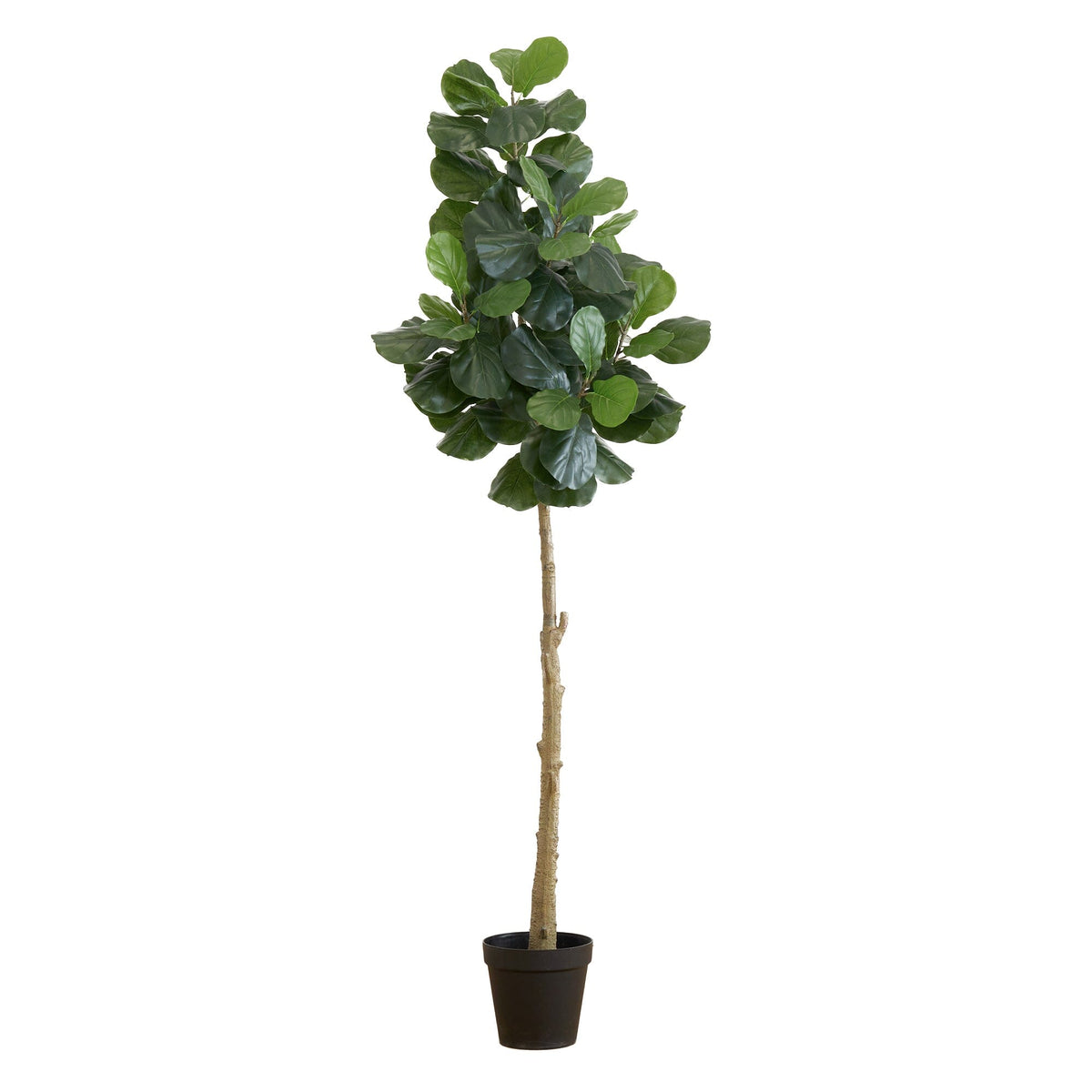 8’ artificial fiddle leaf fig tree with lush dark green leaves in a black planter on Tampa Home & Garden Store