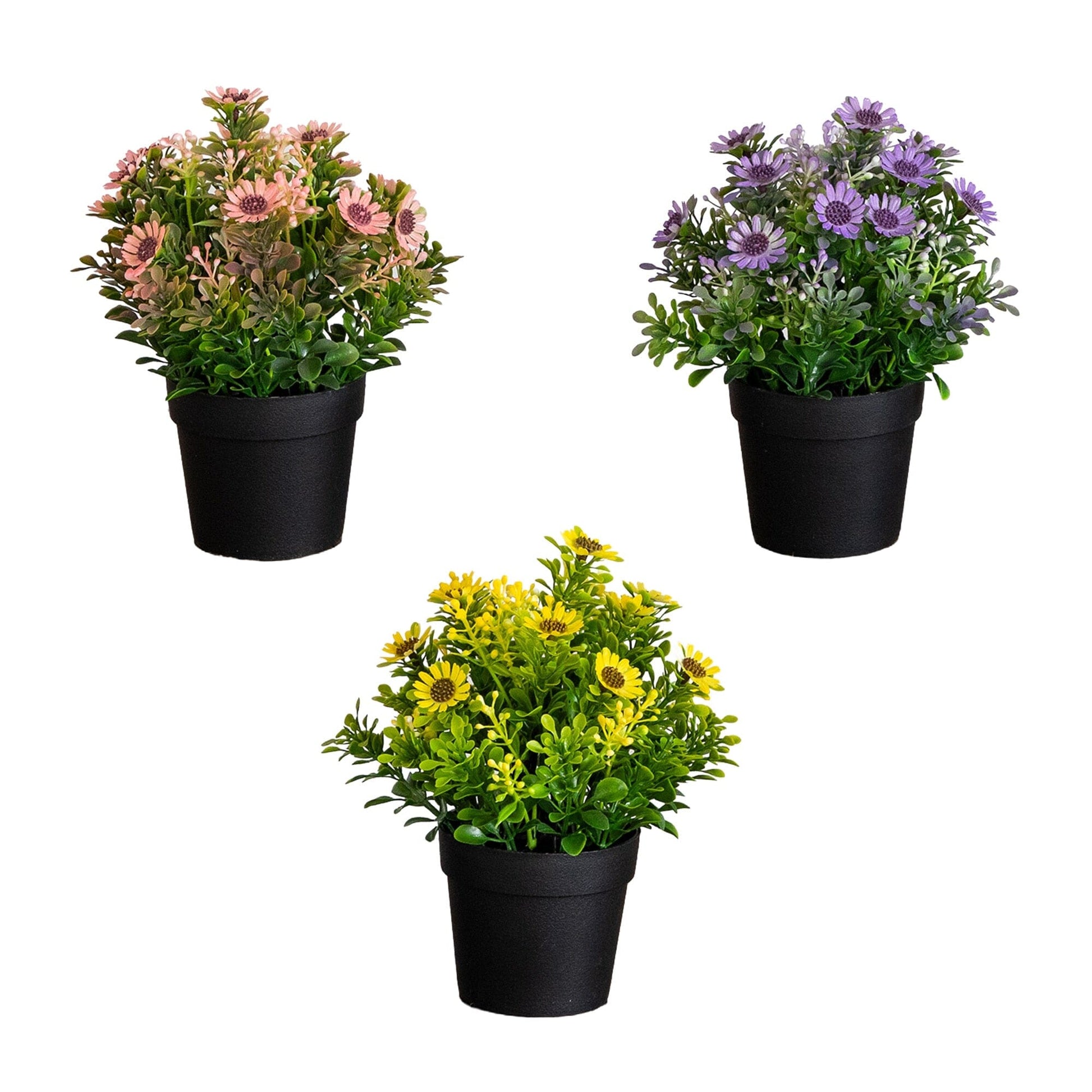 8in artificial flowering daisies in black pots, pink, purple & yellow, Nearly Natural set of 3 on Tampa Home & Garden Store