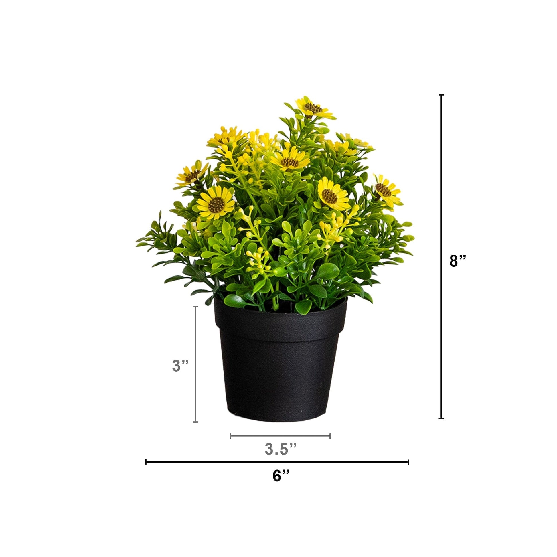 8in artificial flowering daisies in black pots, set of 3 with green foliage on Tampa Home & Garden Store