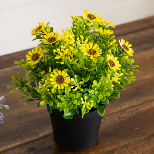 8-inch yellow artificial daisies in black pots set of 3 Nearly Natural on Tampa Home & Garden Store