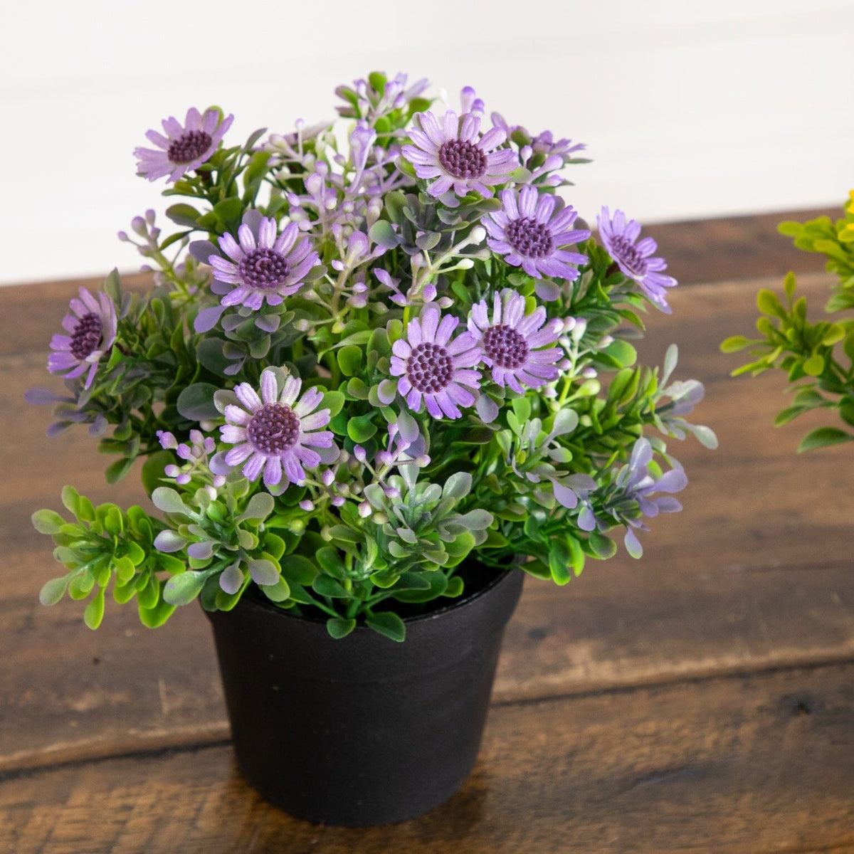 8-inch artificial daisy set of 3 in black pot with purple blooms and green leaves Nearly Natural on Tampa Home & Garden Store