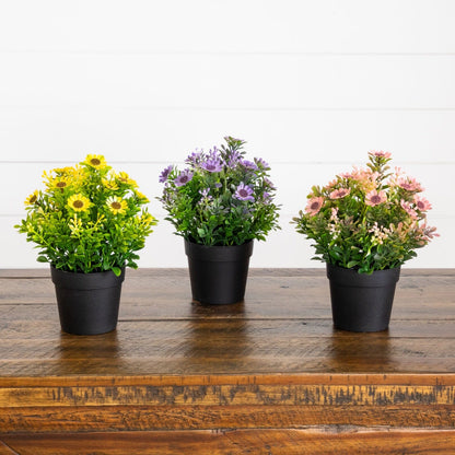 Nearly Natural 8in artificial daisies in black pots, set of 3 on Tampa Home & Garden Store