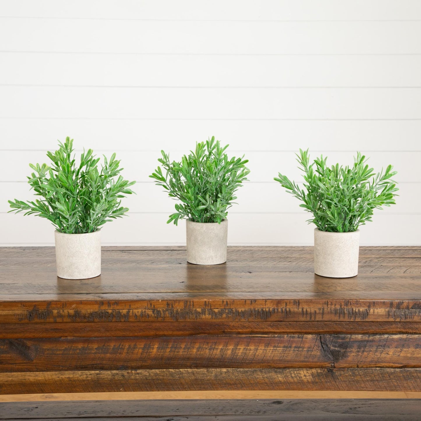 8-inch artificial grass plant in decorative planters set of 3, Nearly Natural, green shrubs on Tampa Home & Garden Store