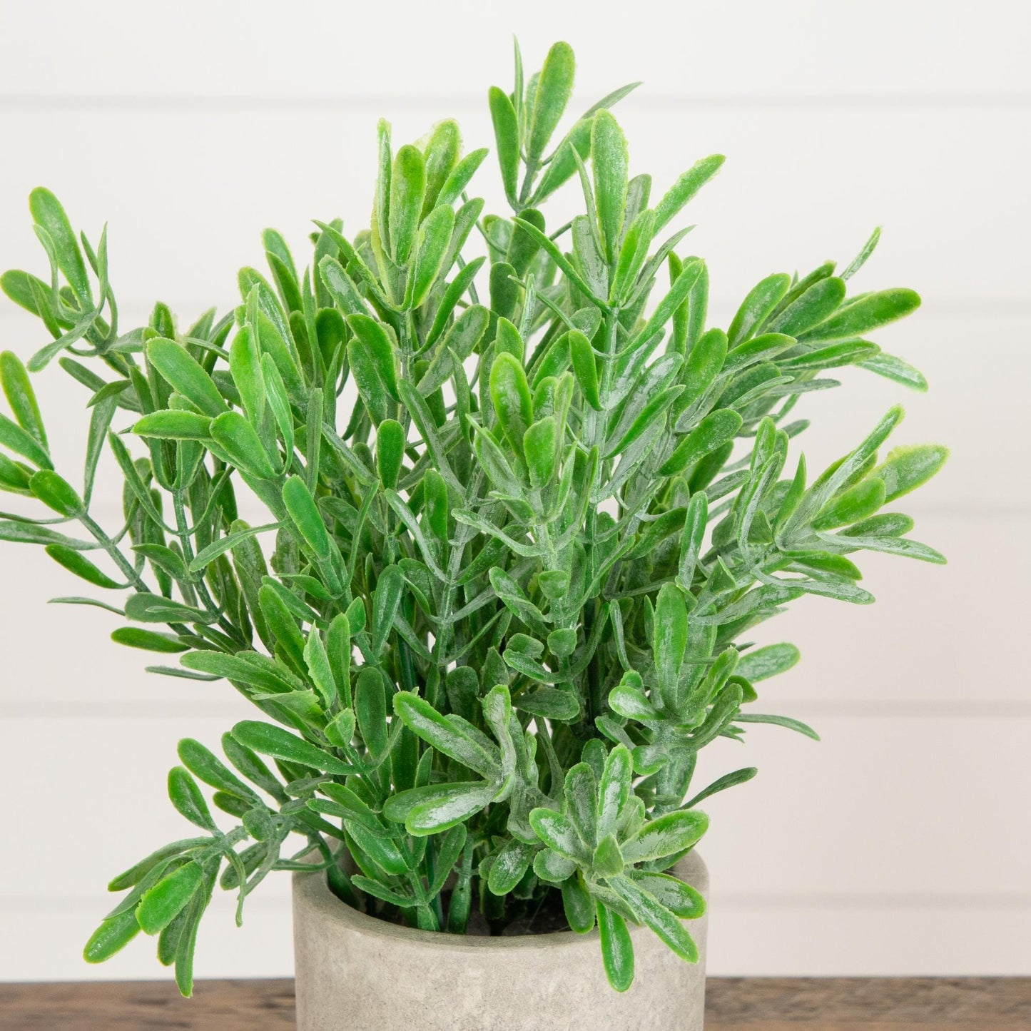 8-inch artificial grass plant in decorative gray planter, set of 3 by Nearly Natural on Tampa Home & Garden Store