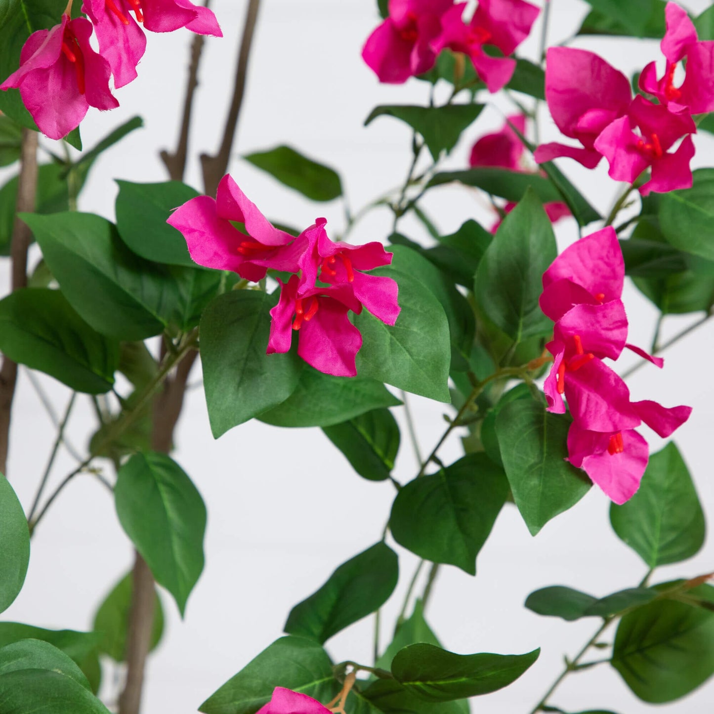 8 ft Artificial Minimalist Bougainvillea Tree with pink blooms by Nearly Natural on Tampa Home & Garden Store