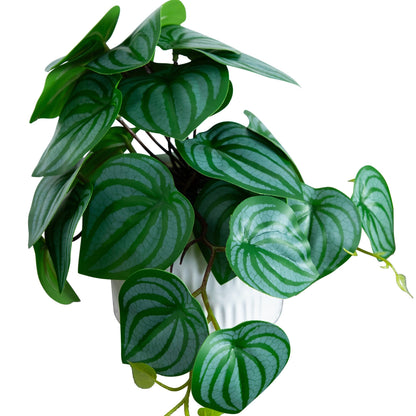 Artificial mixed greens in ceramic planter, 8in, Nearly Natural, set of 3, zebra leaves on Tampa Home & Garden Store