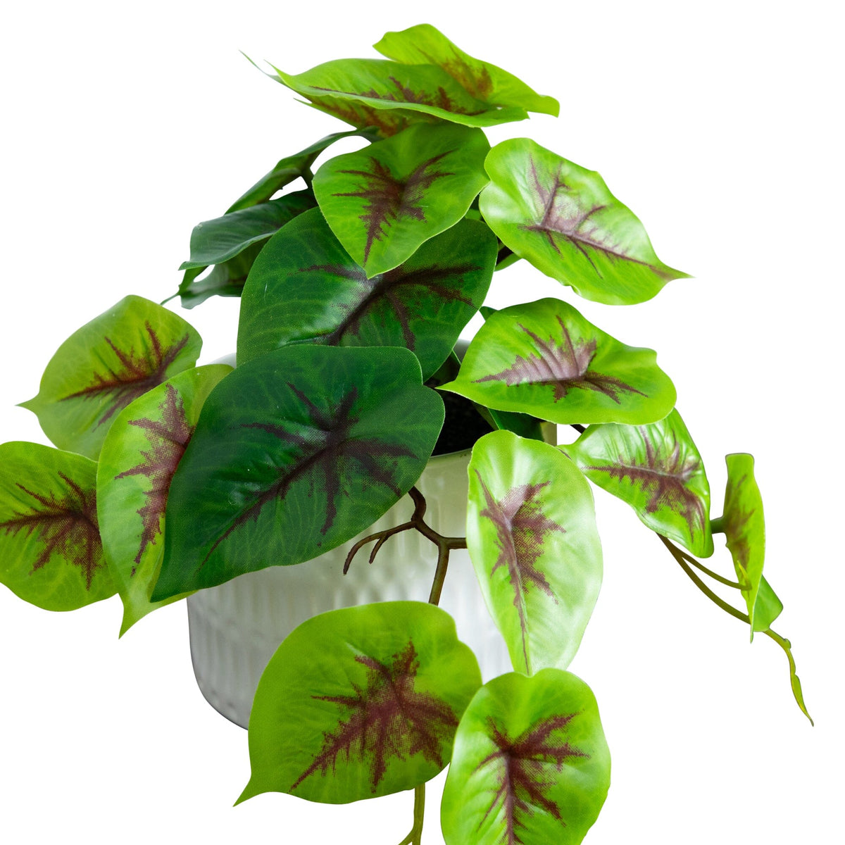 8” Artificial Mixed Greens in Ceramic Planter set of 3 by Nearly Natural green leaves with burgundy veins on Tampa Home & Garden Store