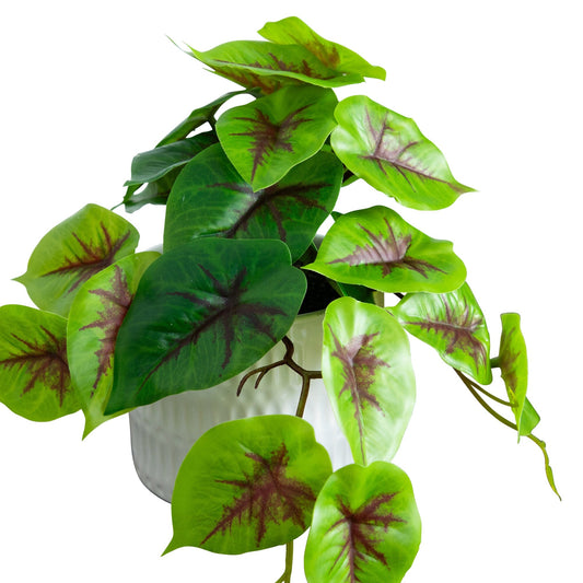 8” Artificial Mixed Greens in Ceramic Planter set of 3 by Nearly Natural green leaves with burgundy veins on Tampa Home & Garden Store