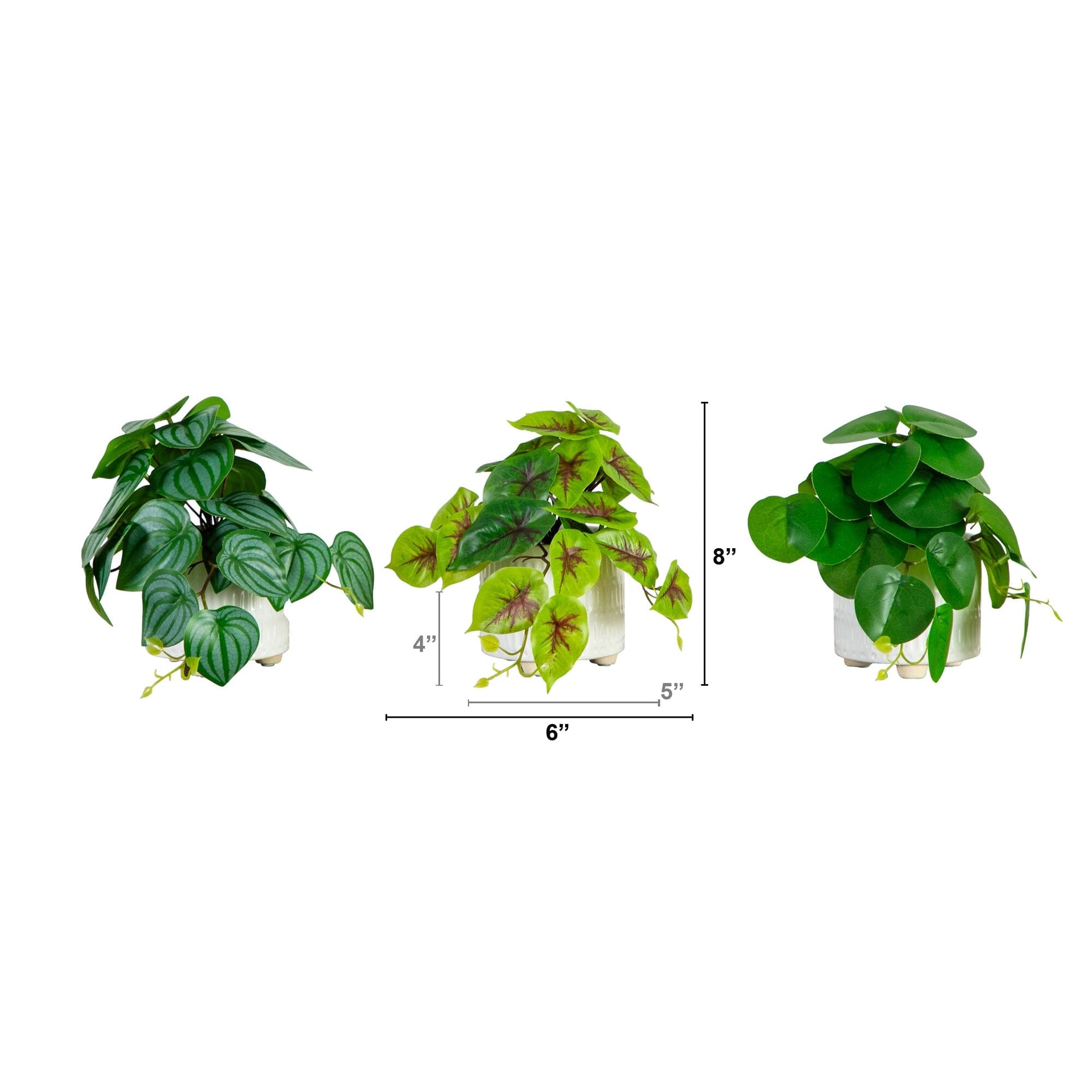 Nearly Natural 8 inch artificial greens in 3 ceramic planters with mixed leaves on Tampa Home & Garden Store