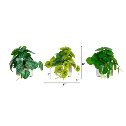 Nearly Natural 8 inch artificial greens in 3 ceramic planters with mixed leaves on Tampa Home & Garden Store