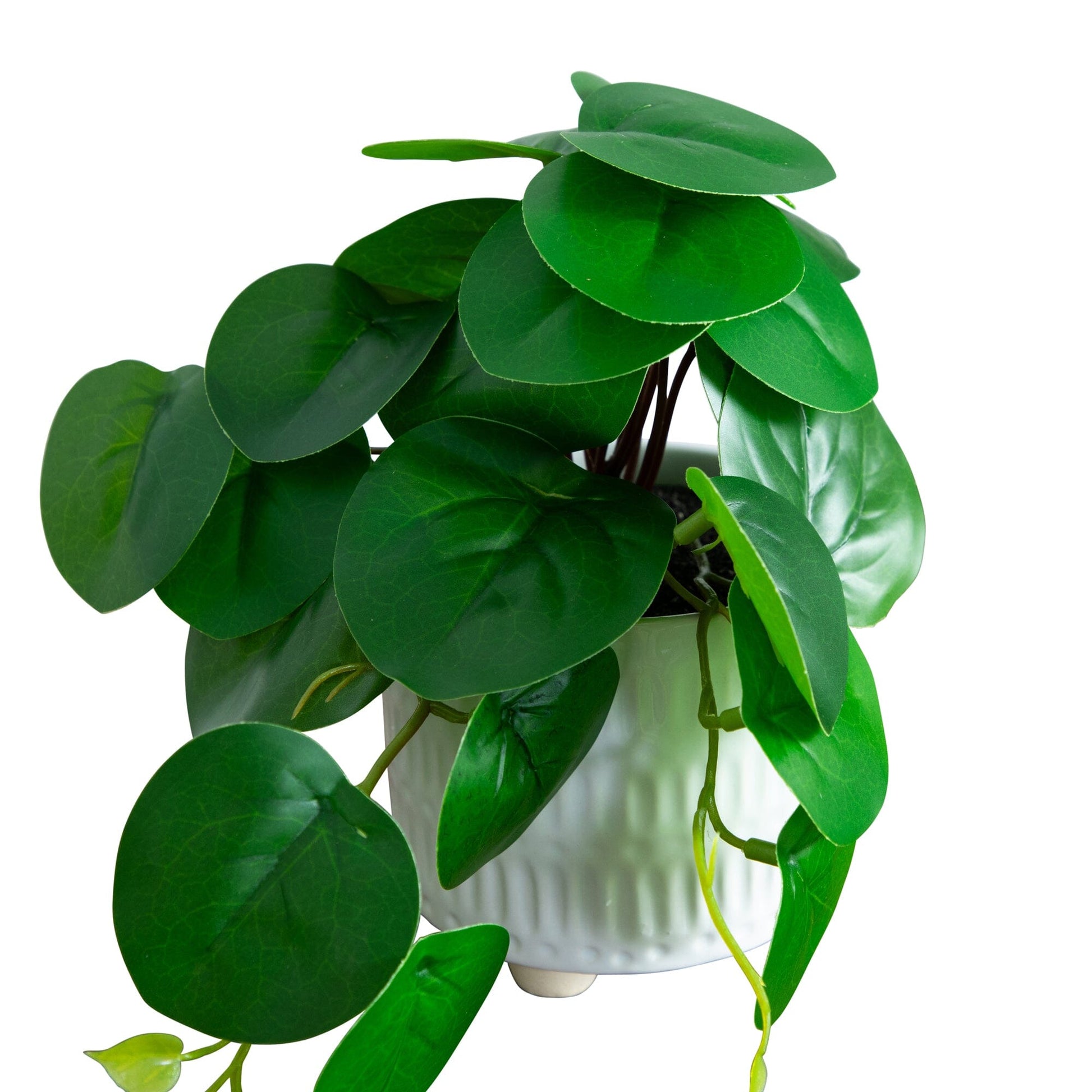 8-inch artificial mixed greens in a ceramic planter, Nearly Natural plant on Tampa Home & Garden Store