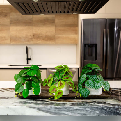 8-inch artificial mixed greens in ceramic planters set of 3 by Nearly Natural on kitchen island on Tampa Home & Garden Store