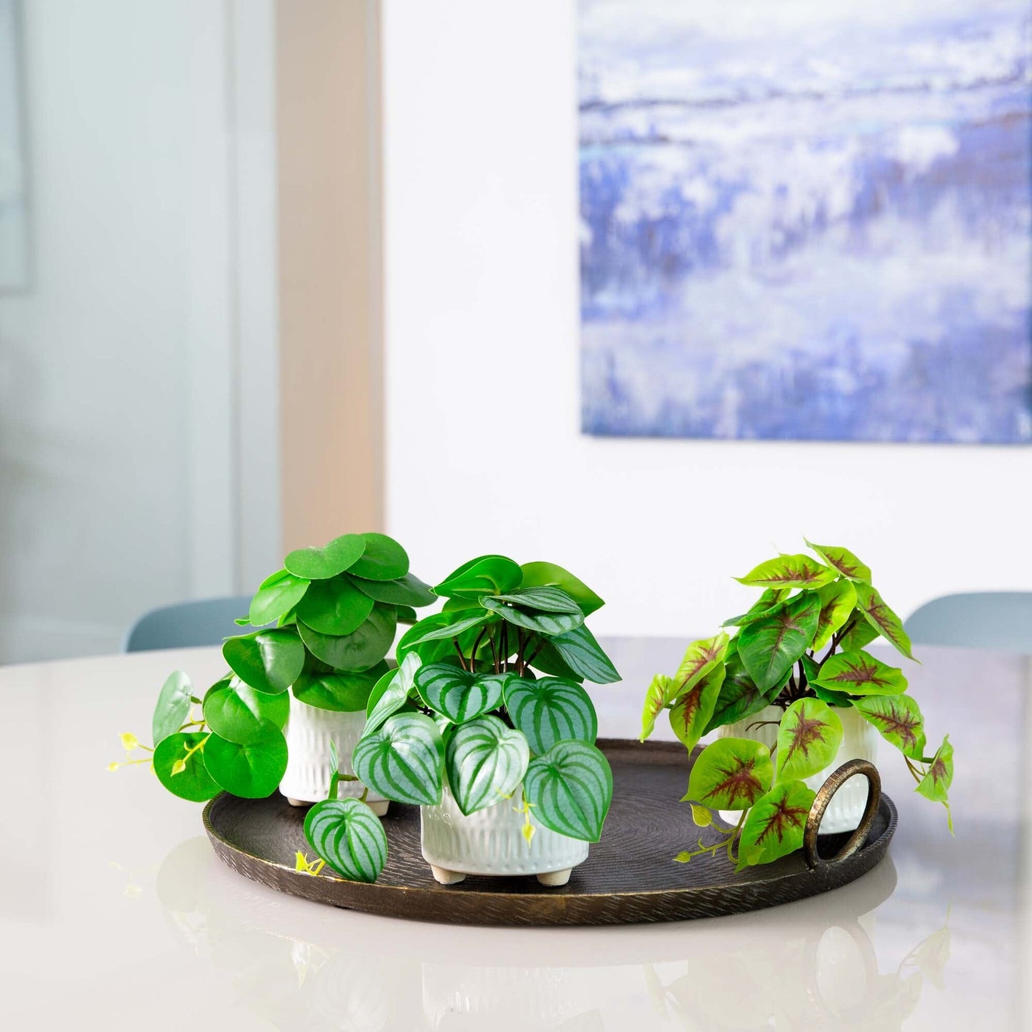8-inch artificial mixed greens in ceramic planters set of 3 by Nearly Natural on Tampa Home & Garden Store