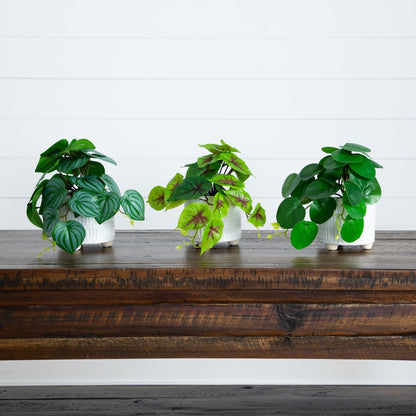 8” artificial mixed greens in ceramic planters, set of 3 by Nearly Natural on Tampa Home & Garden Store