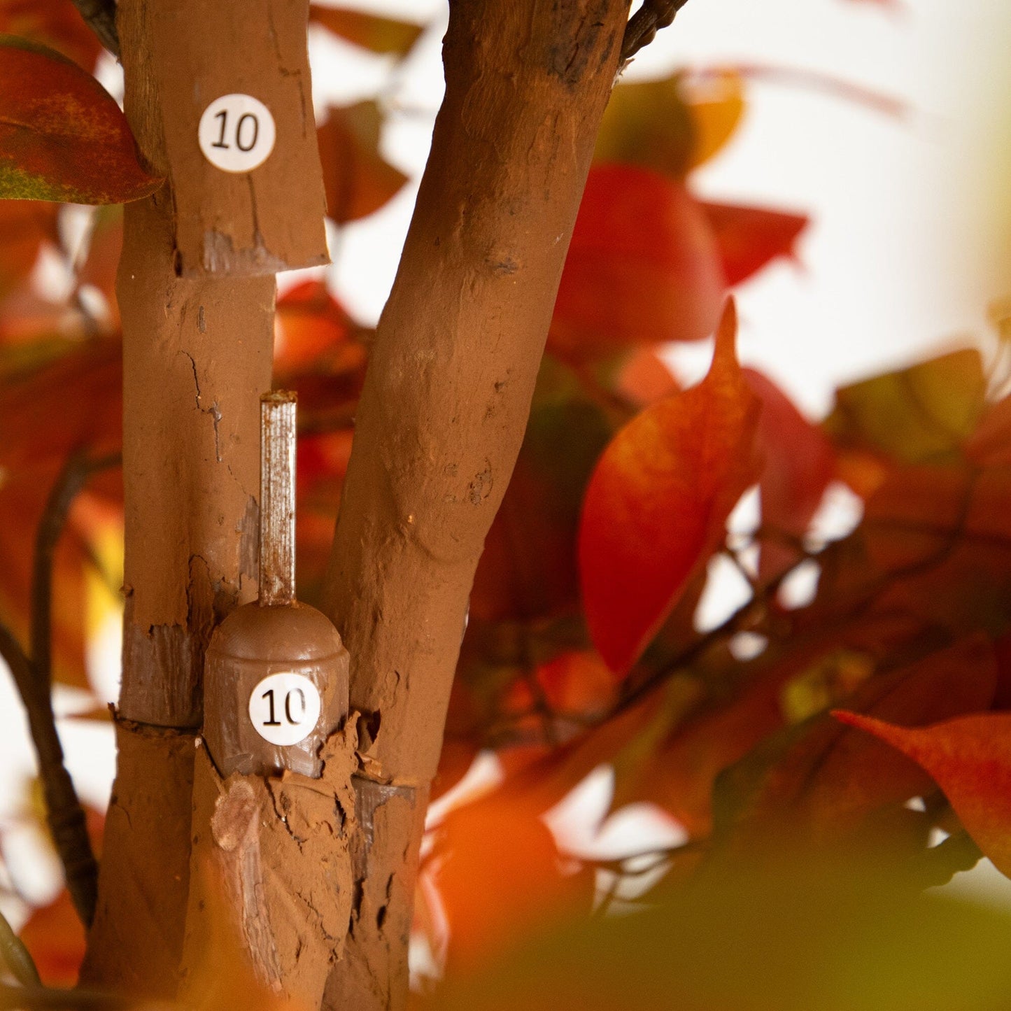 8 Foot Autumn Ficus Tree and Fall Balcony Decor