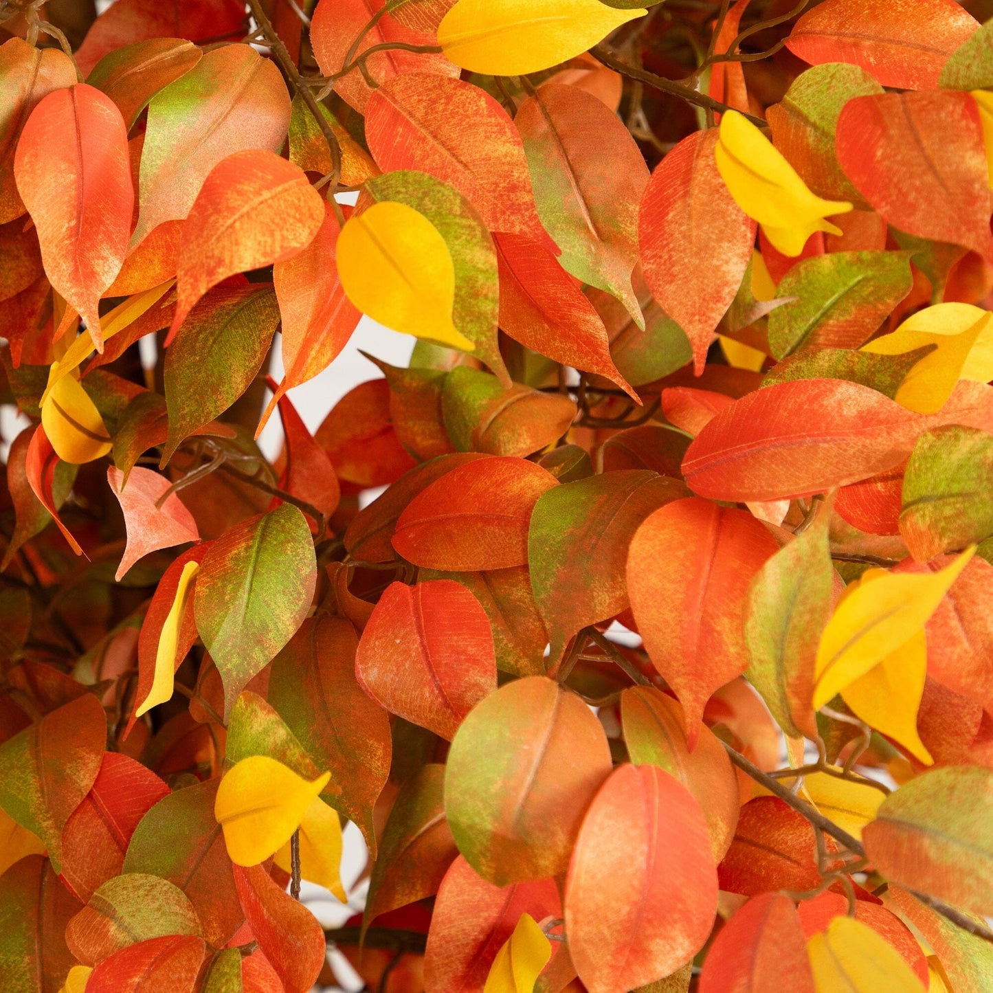 8 Foot Autumn Ficus Tree and Fall Balcony Decor