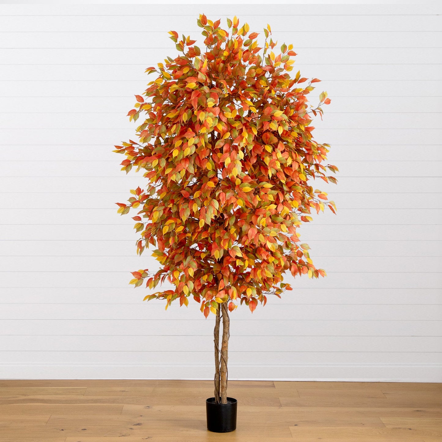 8 Foot Autumn Ficus Tree and Fall Balcony Decor