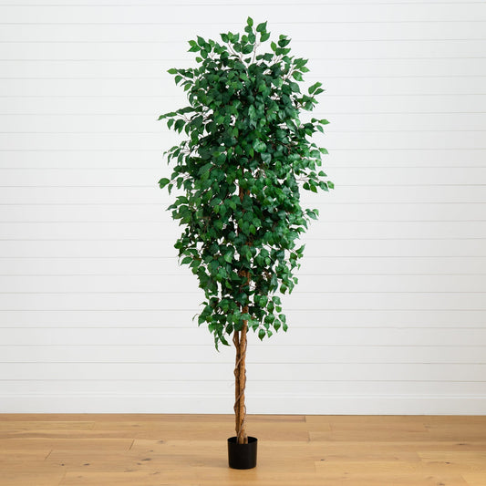 8’ Ficus Tree w/1512 Lvs - Tampa Home & Garden Store