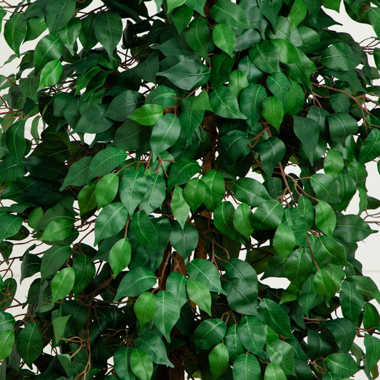8’ Ficus Tree w/1512 Lvs - Tampa Home & Garden Store