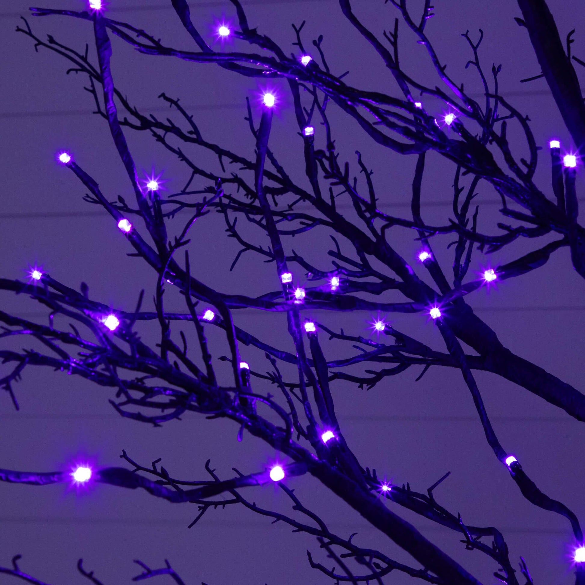 8' Pre-Lit Halloween Deluxe Black Twig Tree by Nearly Natural with purple LED lights on Tampa Home & Garden Store