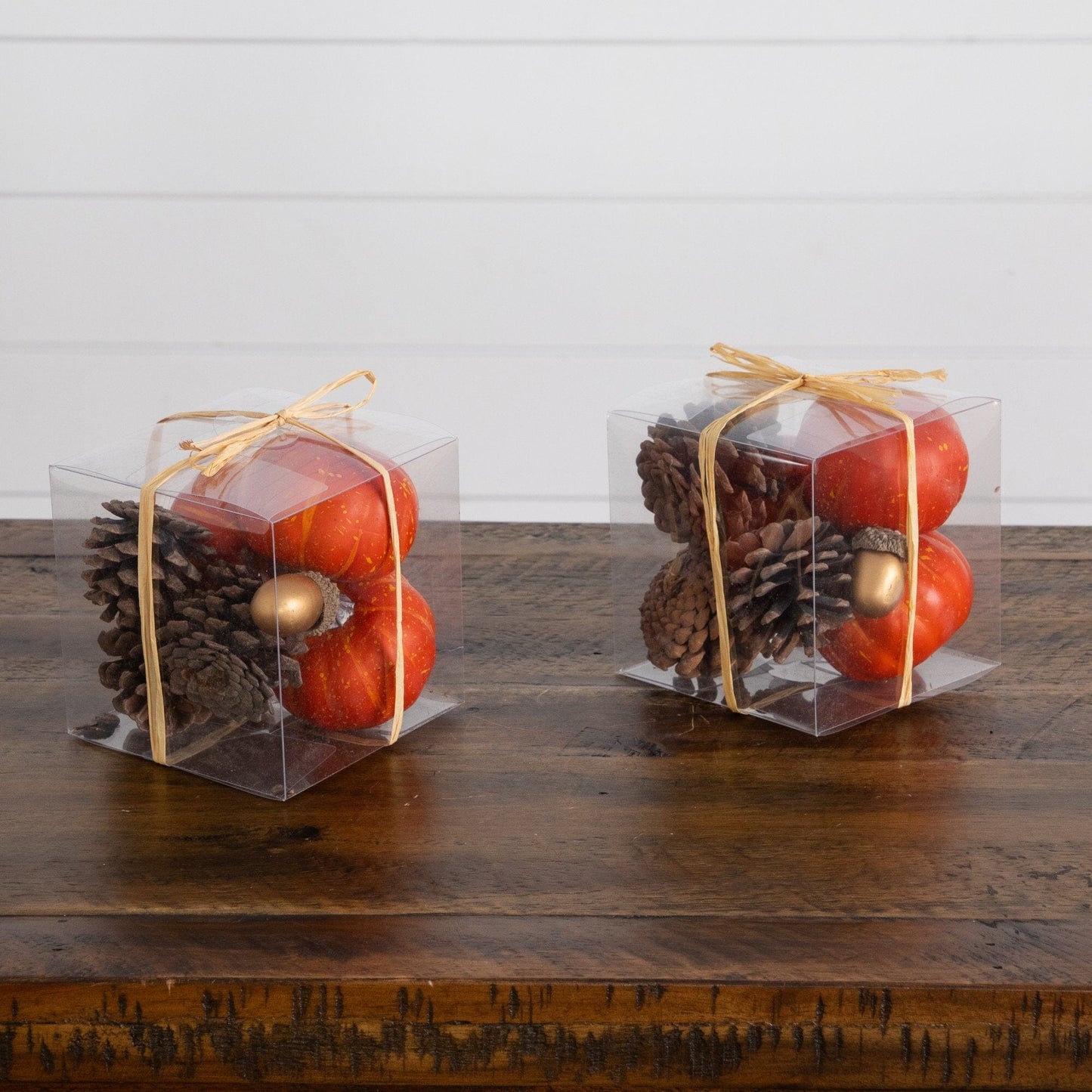 8-pc artificial autumn harvest pumpkin decor set of 2 in clear boxes w pinecones Nearly Natural on Tampa Home & Garden Store