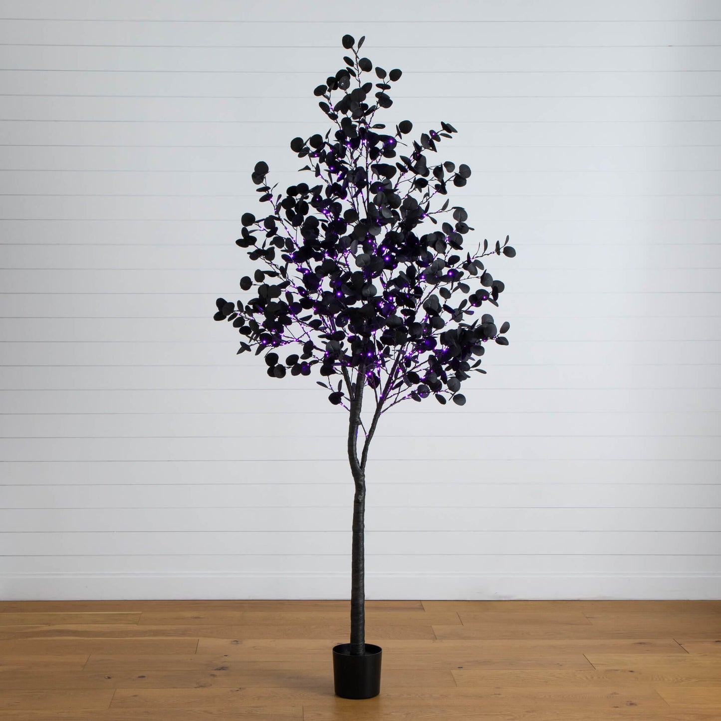 8' Pre-Lit Halloween Black Eucalyptus Tree with 540 LEDs (orange & purple) in pot on Tampa Home & Garden Store