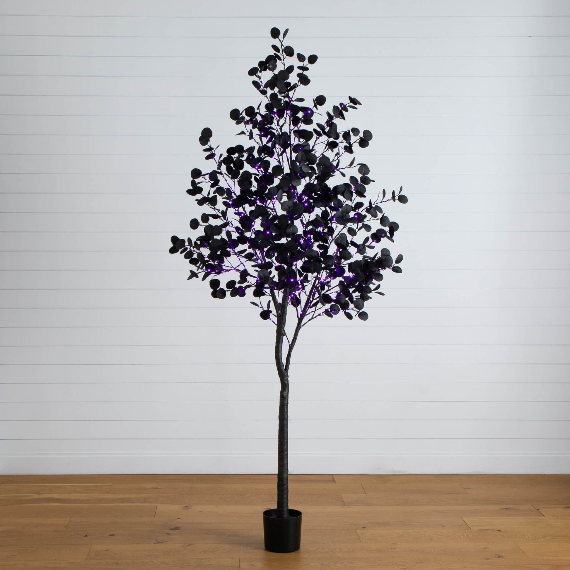 8' Pre-Lit Halloween Black Eucalyptus Tree with 540 LEDs (orange & purple) in pot on Tampa Home & Garden Store