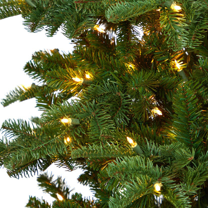 8ft South Carolina Fir artificial Christmas tree with 650 LED lights 2598 bendable branches on Tampa Home & Garden Store