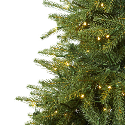 8 ft Vancouver Fir artificial Christmas tree with 700 clear LED lights 3470 bendable branches on Tampa Home & Garden Store
