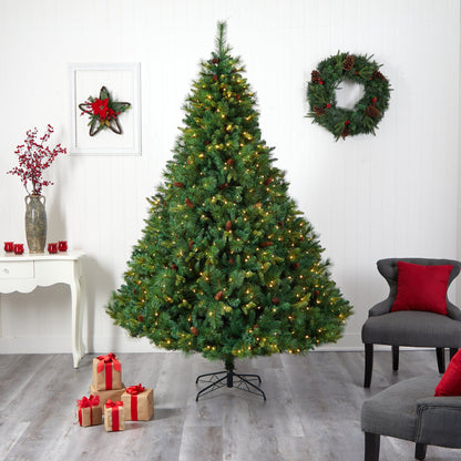 West Virginia Mixed Pine Christmas Tree and Led
