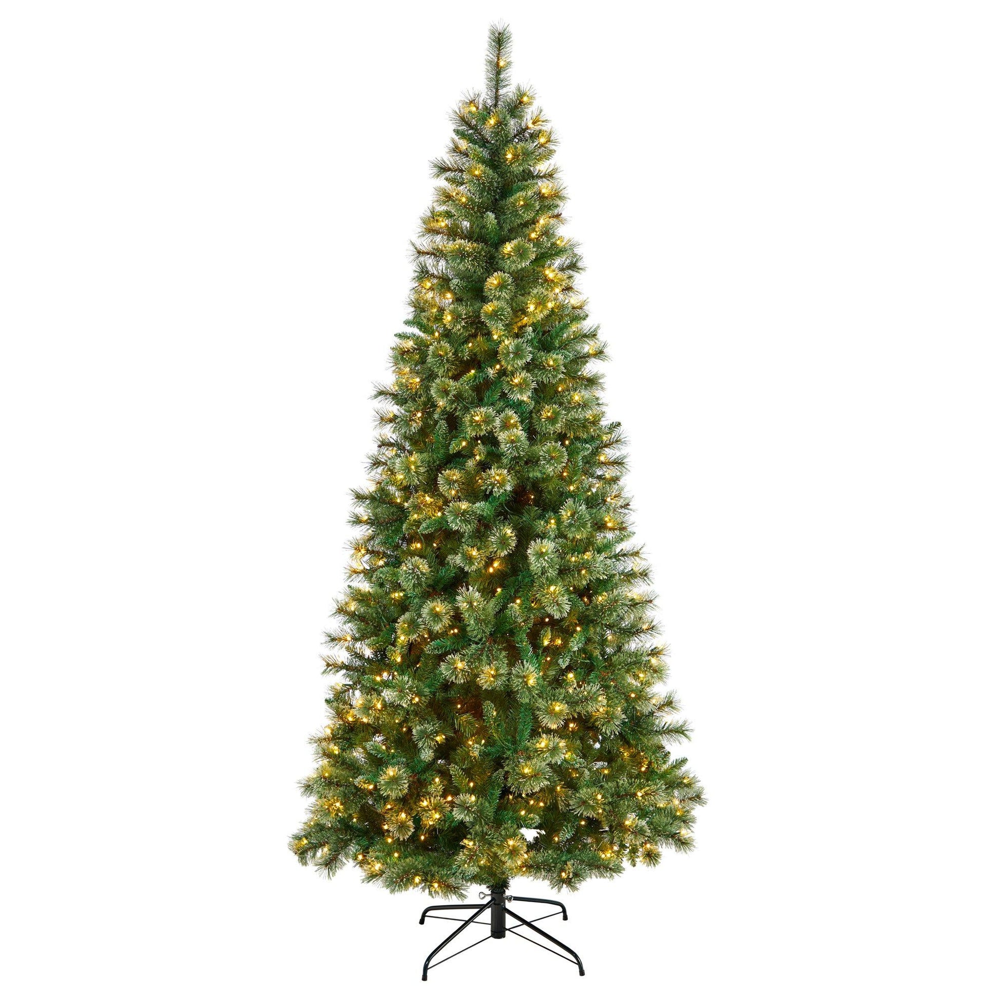 8 ft Wisconsin Slim Snow Tip Pine Tree 600 clear LED lights and 908 bendable branches on Tampa Home & Garden Store