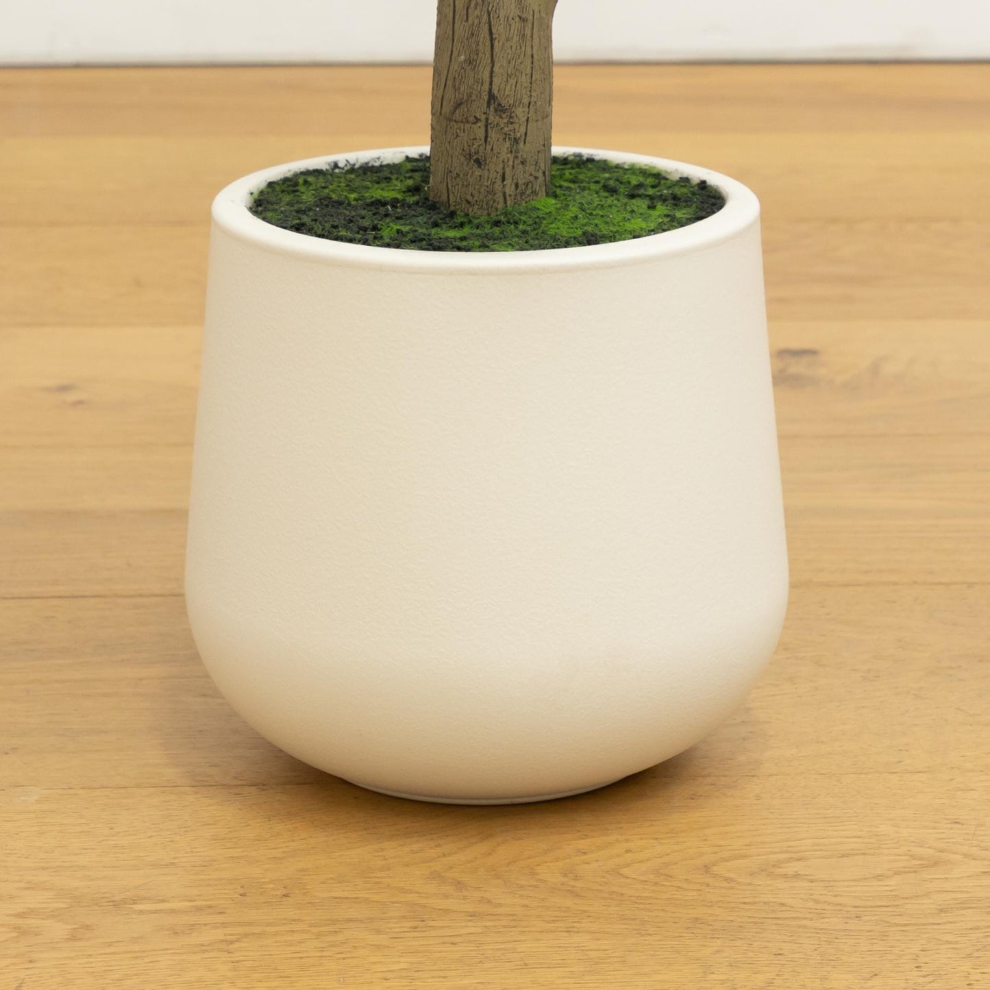 7 ft artificial olive tree in white decorative planter with moss top Nearly Natural on Tampa Home & Garden Store