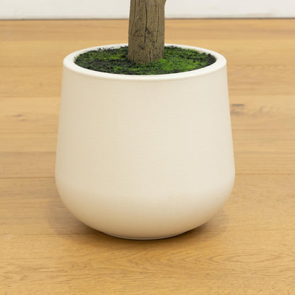 7 ft artificial olive tree in white decorative planter with moss top Nearly Natural on Tampa Home & Garden Store
