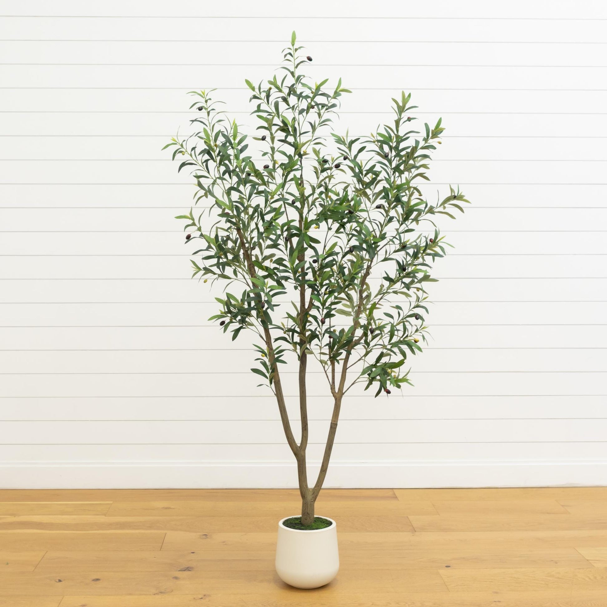 7' artificial olive tree in a white decorative planter with green leaves and olives on Tampa Home & Garden Store