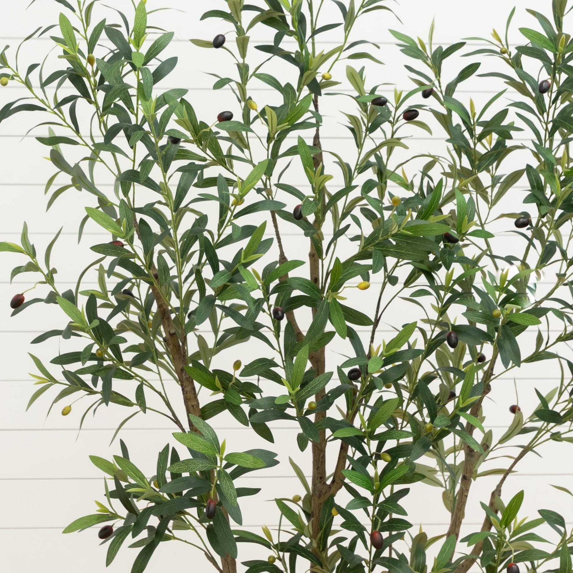 7 ft artificial olive tree in white decorative planter with olives by Nearly Natural on Tampa Home & Garden Store
