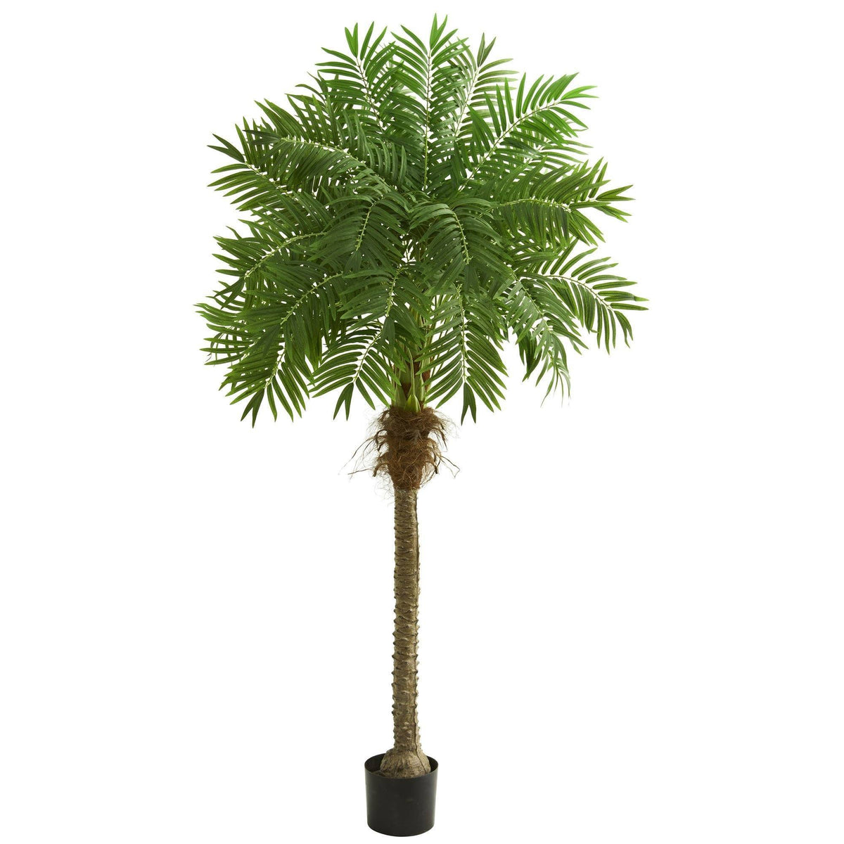 6 ft Robellini Palm artificial tree by Nearly Natural with green fronds in a black planter on Tampa Home & Garden Store