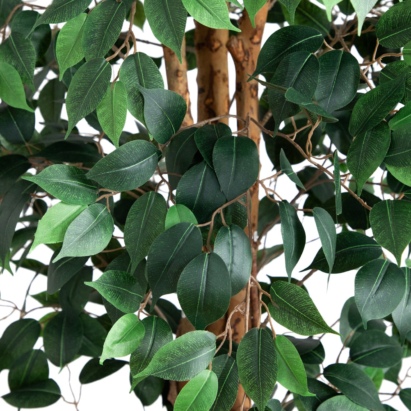 9 Foot Artificial Ficus Tree With Natural Trunk