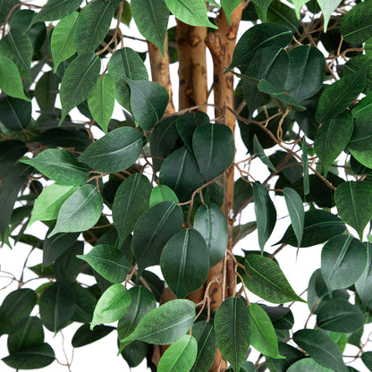 9 Foot Artificial Ficus Tree With Natural Trunk