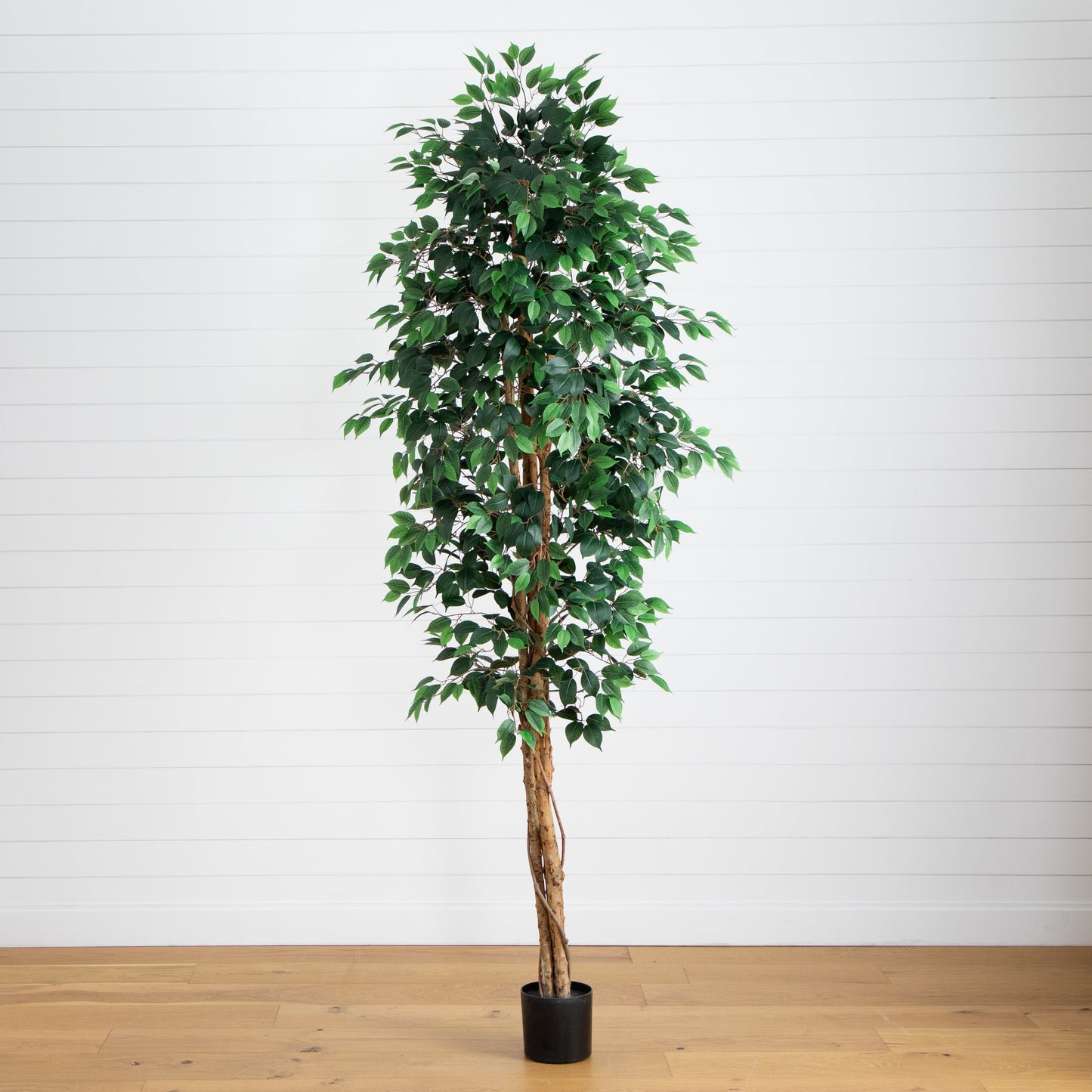 9 Foot Artificial Ficus Tree With Natural Trunk