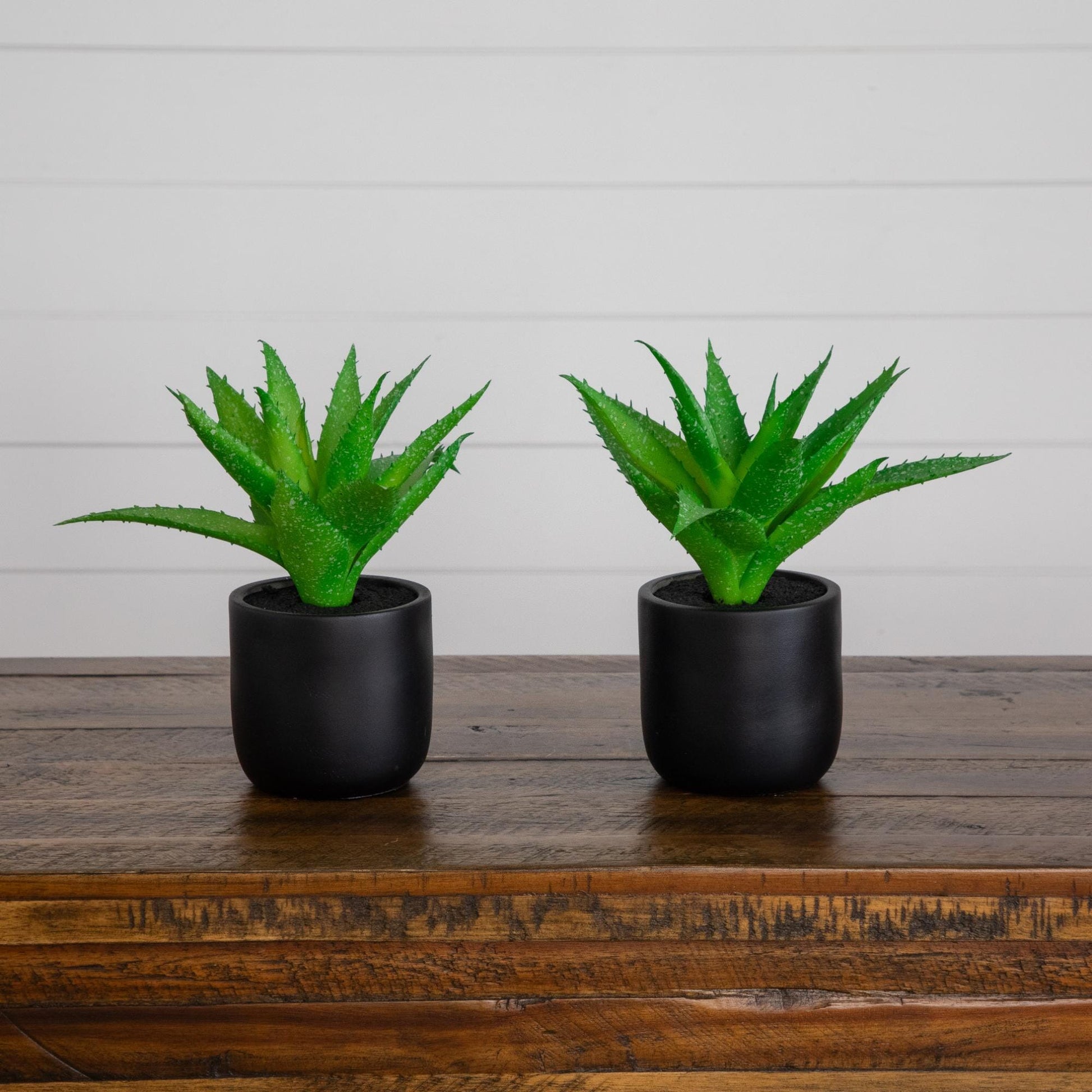 9in artificial mini agave plants in black ceramic planters, set of 2 Nearly Natural on Tampa Home & Garden Store