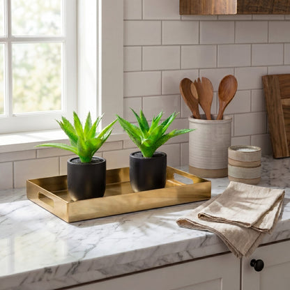 9” artificial mini agave plants in black ceramic planters, set of 2 by Nearly Natural on Tampa Home & Garden Store