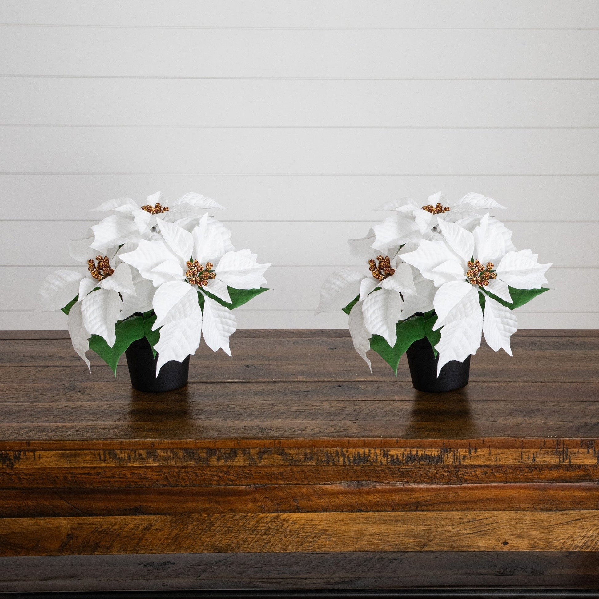 9in artificial poinsettia plant set of 2 in black planters white blooms Nearly Natural on Tampa Home & Garden Store