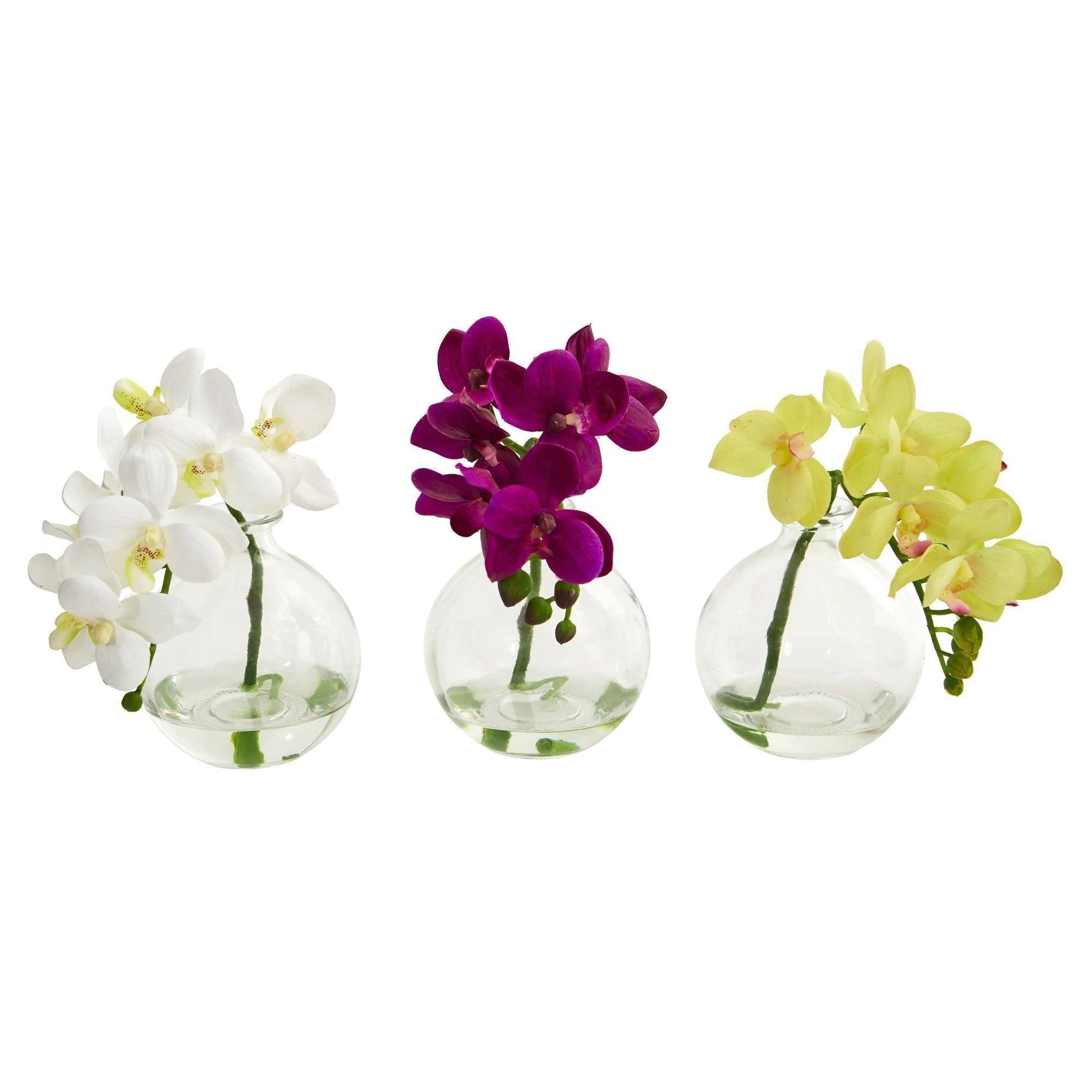 9in Phalaenopsis orchid arrangement in vase set of 3 white magenta yellow clear glass vases on Tampa Home & Garden Store