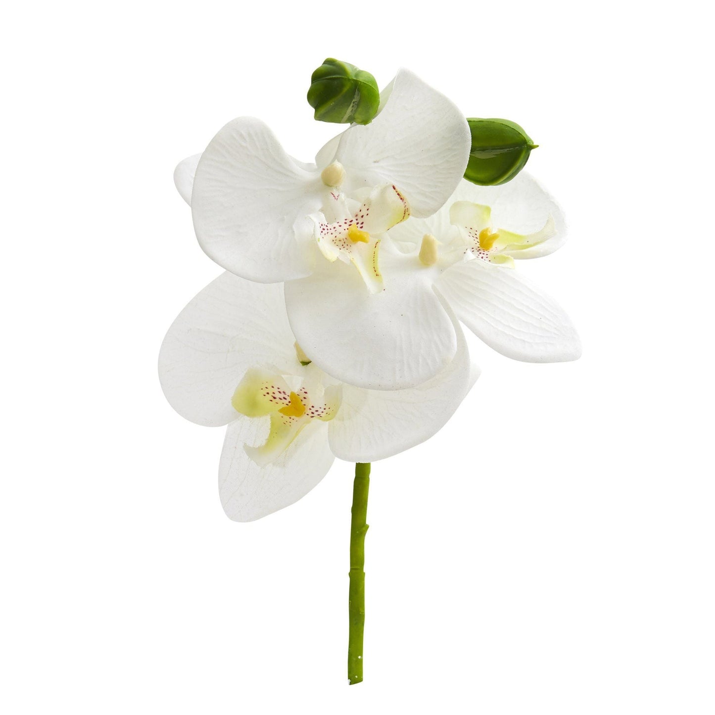 Artificial Phalaenopsis Orchid Flowers and Buds