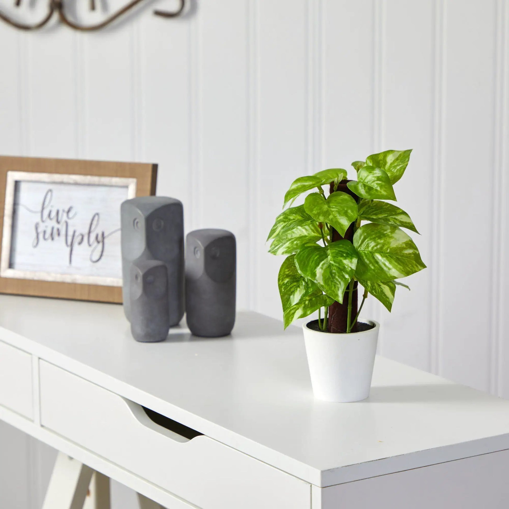 - image on Tampa Home & Garden Store