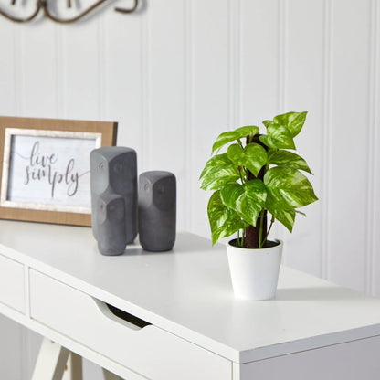 - image on Tampa Home & Garden Store